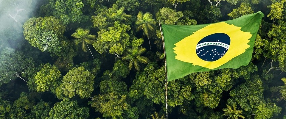 brazilian flag flies amazon rainforest (1)