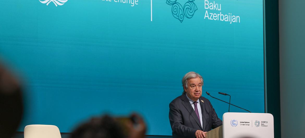 COP29
