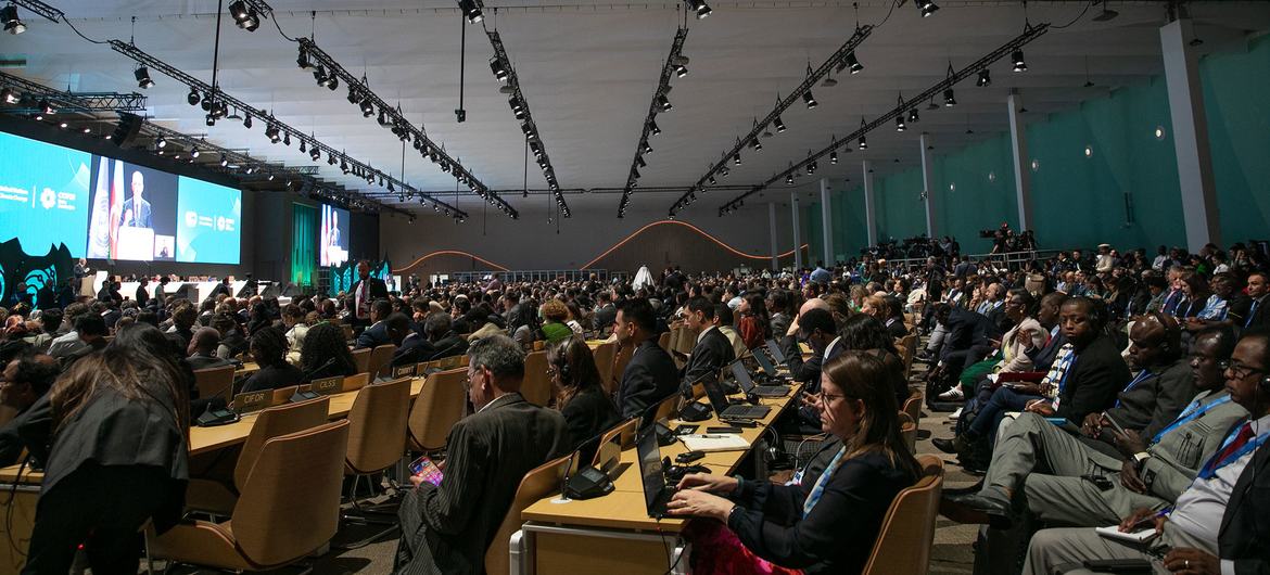COP29