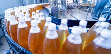 alimentos bebidas